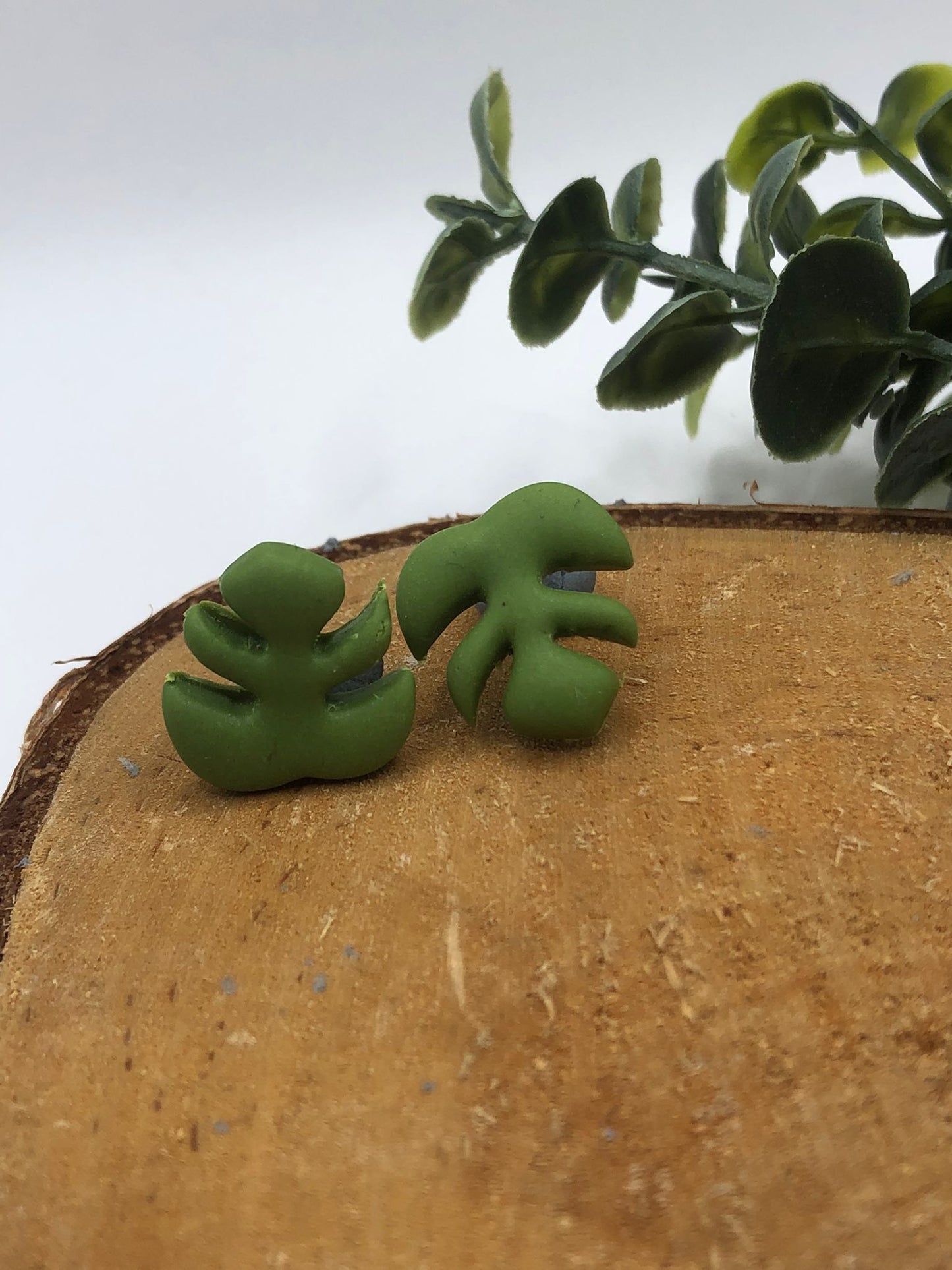 Monstera, knopjes